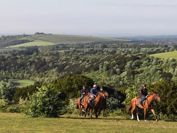 Queen Elizabeth Country Park