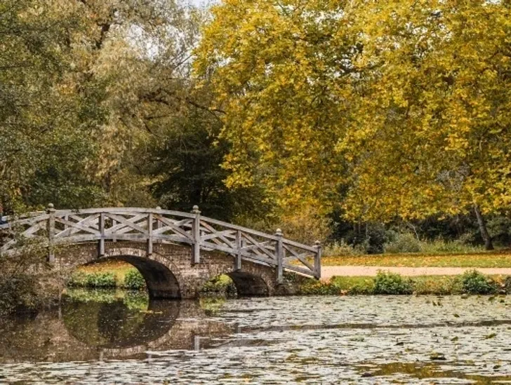 Staunton Country Park